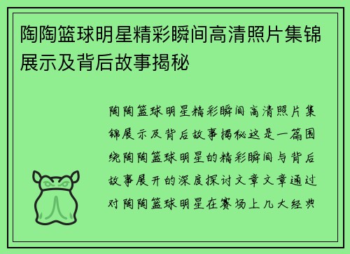 陶陶篮球明星精彩瞬间高清照片集锦展示及背后故事揭秘