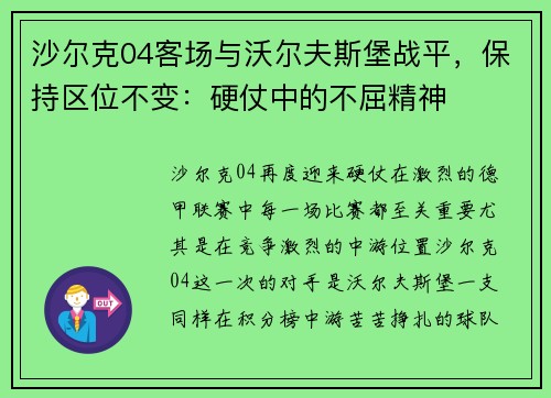 沙尔克04客场与沃尔夫斯堡战平，保持区位不变：硬仗中的不屈精神